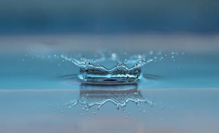 Content Dam Ww Online Articles 2019 03 Ww Macro Reflection Splash 45229
