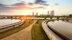 Content Dam Ww Online Articles 2019 03 Wwi Shutterstock 165987281
