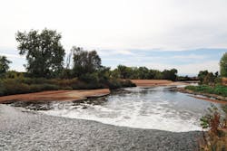 Ww Img 6247 Edited Ww Img 6247 Edited