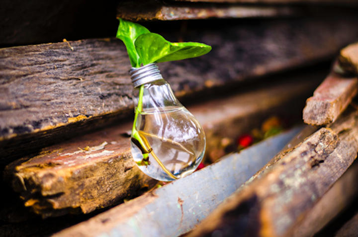 Content Dam Ww Online Articles 2019 04 Ww Bulb Close Up Creative 315658