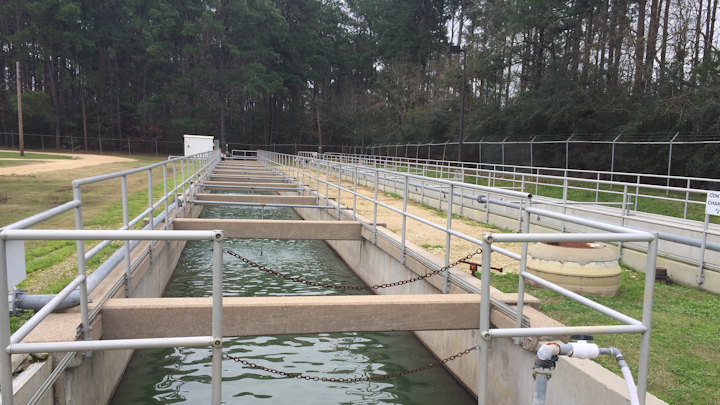 Content Dam Ww Online Articles 2019 04 Ww Newport Mud