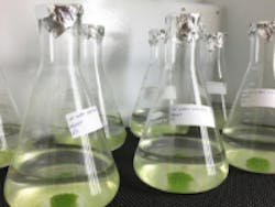 Content Dam Ww Online Articles 2019 04 Ww Newscast 20190415 Story1b Green Algae Samples Credit Xuelian Bai Dri 200x150 Content Dam Ww Online Articles 2019 04 Ww Newscast 20190415 Story1b Green Algae Samples Credit Xuelian Bai Dri 200x150