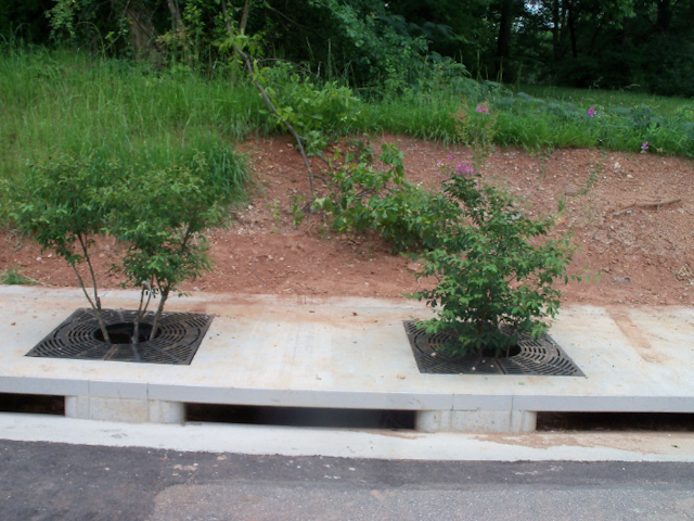 Treepodinstallationcomplete