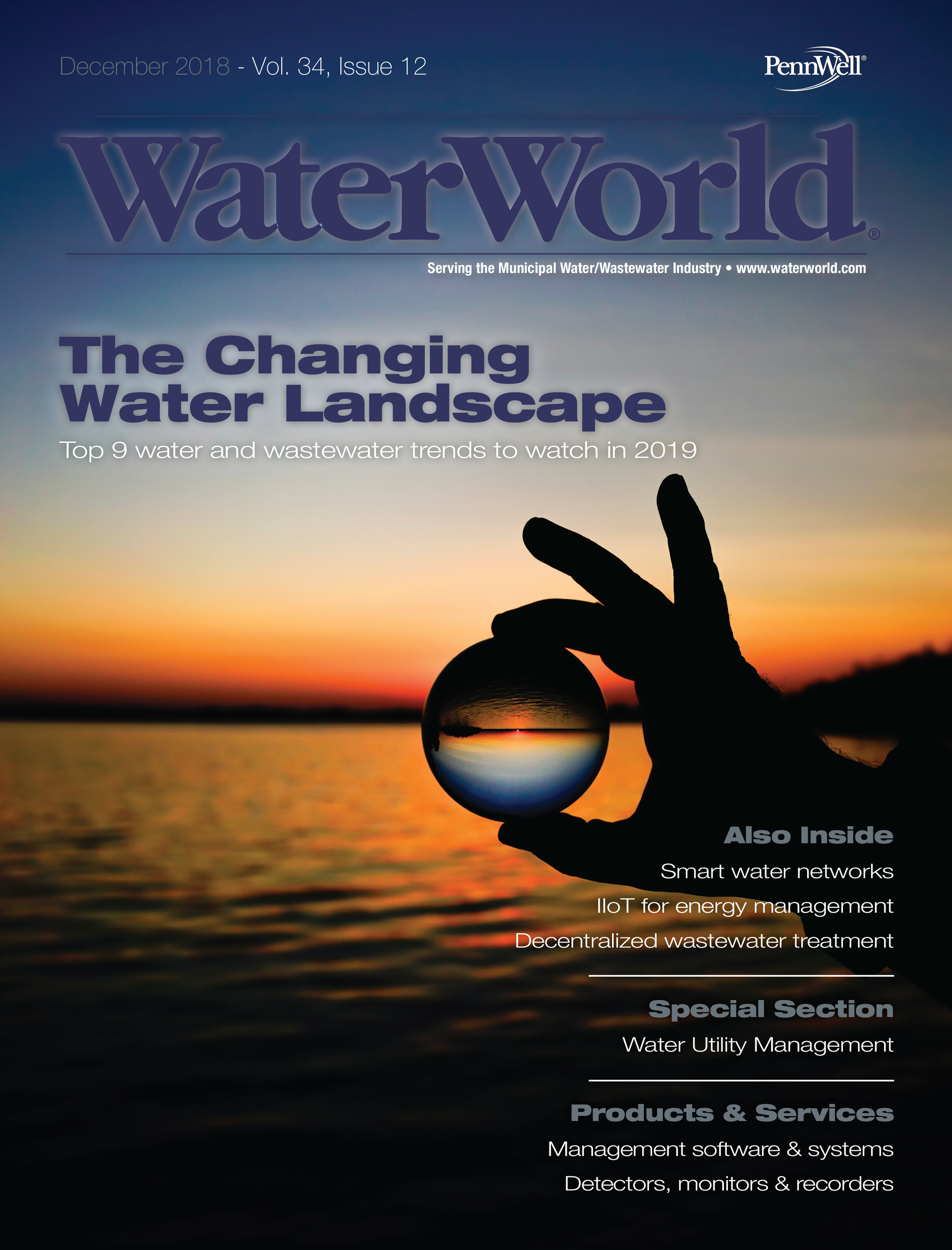 Volume 34, Issue 12, December 2018 cover image