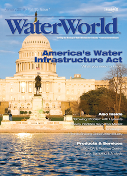 Volume 35, Issue 1, January 2019 cover image