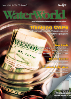 Volume 35, Issue 3, March 2019 cover image