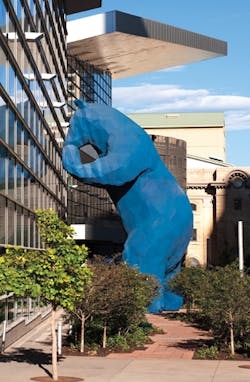 1905wwa01 P02 031v2 Blue Bear 1905wwa01 P02 031v2 Blue Bear