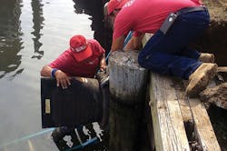 1905wwa12 P01 1905wwa12 P01