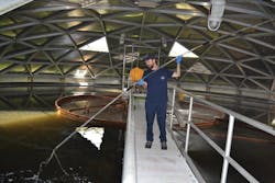 1905wwcas P01 1905wwcas P01