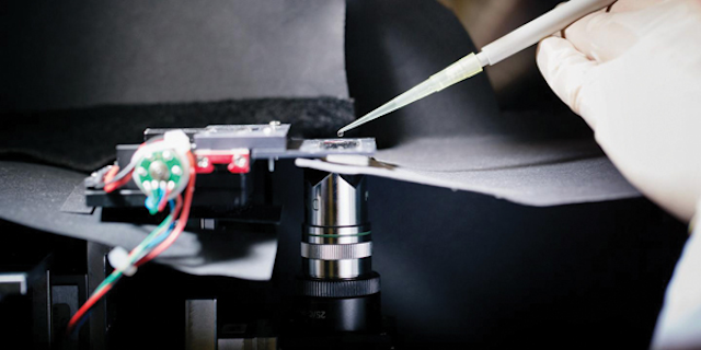 In this photograph of the experimental setup in an ETH Zurich laboratory, a researcher uses a pipette to put a sample onto a molography chip. Photo Courtesy ETH Zurich / Andreas Frutiger.