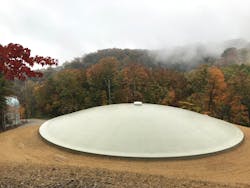 Img 9717 5cddc48ac6532 Img 9717 5cddc48ac6532