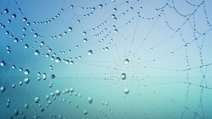 Cobweb 3725540 640