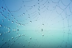 Cobweb 3725540 640 5ce4307312212 Cobweb 3725540 640 5ce4307312212