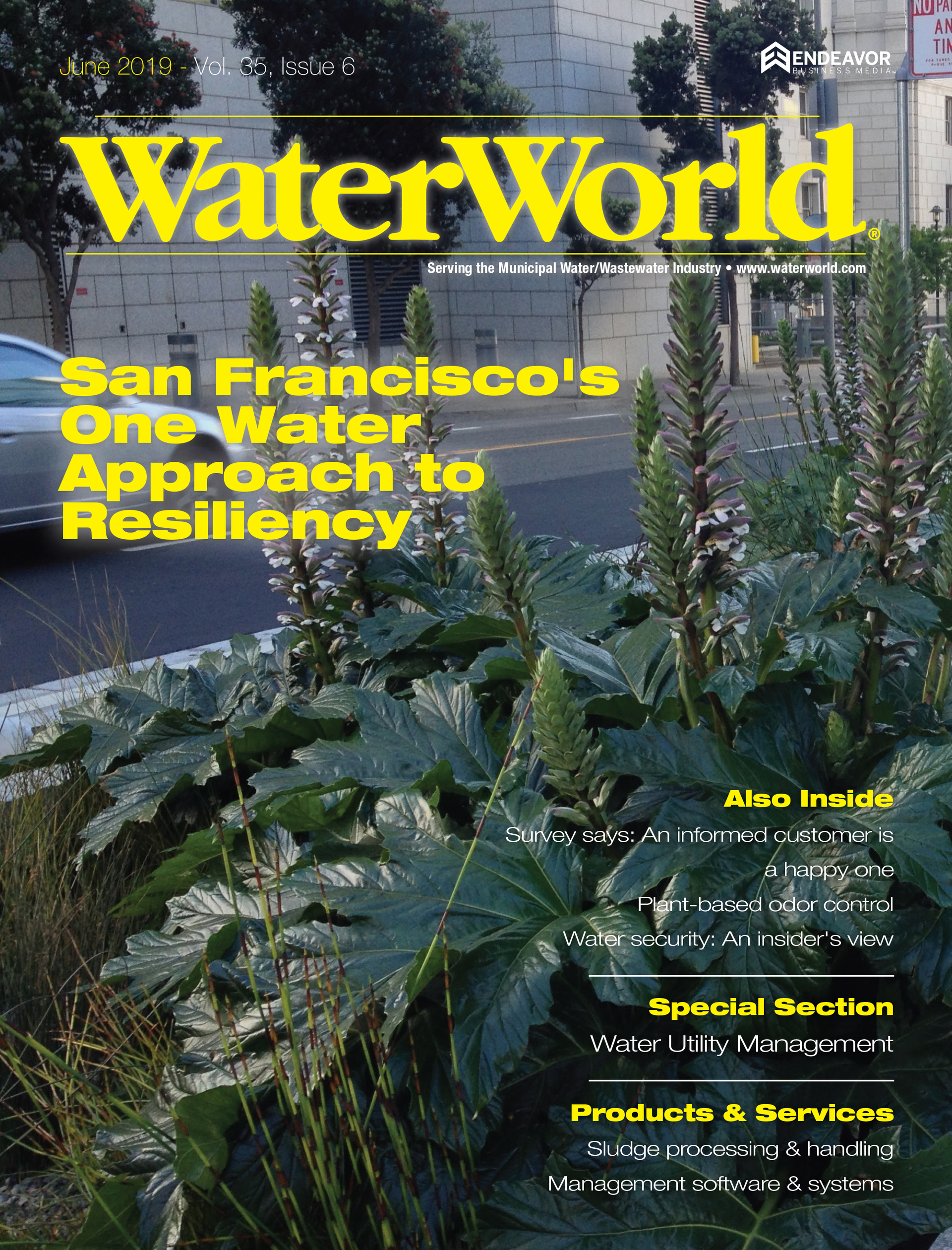 Volume 35, Issue 6, June 2019 cover image