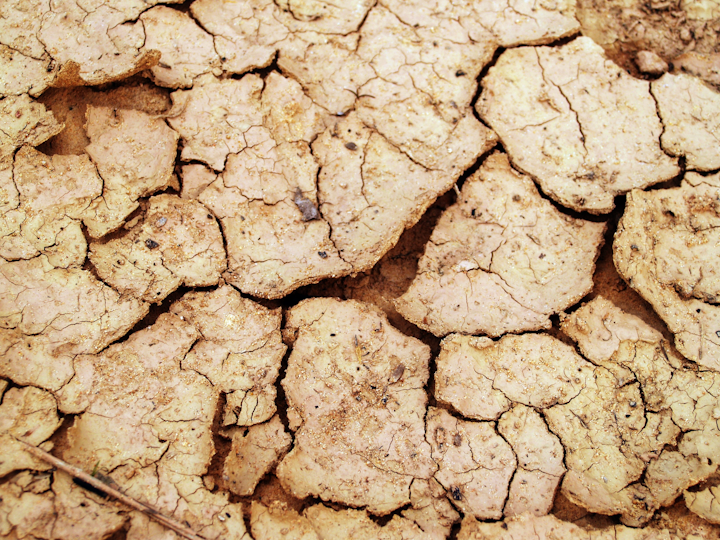Arid Clay Close Up 216693