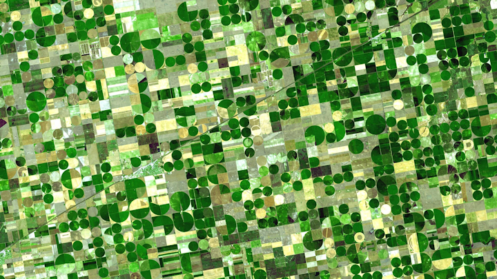 The circles from this satellite image are crops in southwestern Kansas watered by central pivot irrigation, which draws water from a well in the center of each field. The water comes in part from the Ogallala Aquifer, a layer of groundwater that lies under about 173,746 square miles (450,000 square kilometers) of the Great Plains -- an area that includes parts of eight US states. The water is between 30 and 100 meters below ground, and the amount of water in the aquifer varies greatly from region to region. The image was taken by the Advanced Spaceborne Thermal Emission and Reflection Radiometer (ASTER) imaging instrument in the Terra satellite.