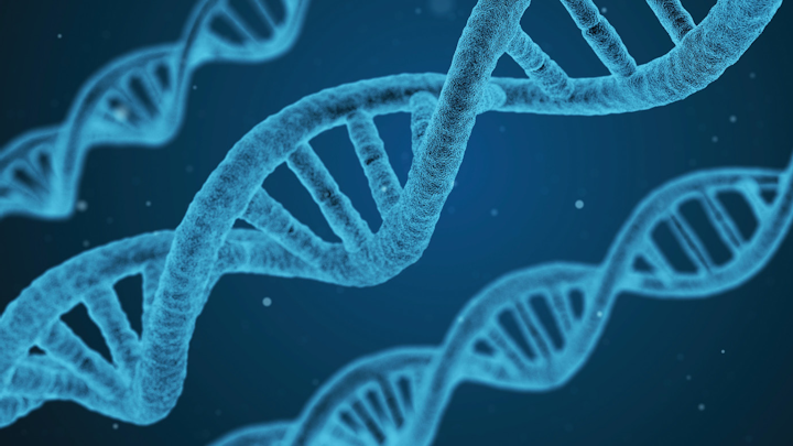 Cerahelix uses strands of DNA as a template for the very fine pore structure of its ceramic membrane.