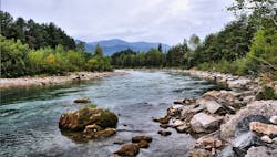 1907 W Wwwema P01 5d414e901f22c 1907 W Wwwema P01 5d414e901f22c