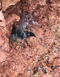 A total of 115 leaks were found and repaired in Bandar Putra B DMA during the Enigma3m trial. A total of 115 leaks were found and repaired in Bandar Putra B DMA during the Enigma3m trial.