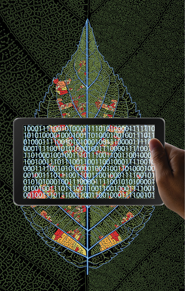 We1907 22 5d2cc0a8a71cc