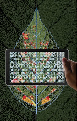 We1907 22 5d2cc0a8a71cc We1907 22 5d2cc0a8a71cc