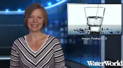 Ww Weekly 20190715 Angela Godwin