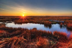 The Procedures will take effect nine months after approval by the state’s Office of Administrative Law, which means they are likely to become effective near the end of the first quarter of 2020. The Procedures will take effect nine months after approval by the state’s Office of Administrative Law, which means they are likely to become effective near the end of the first quarter of 2020.