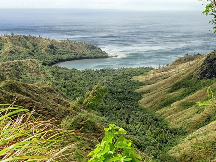 Cetti Bay 143708 640