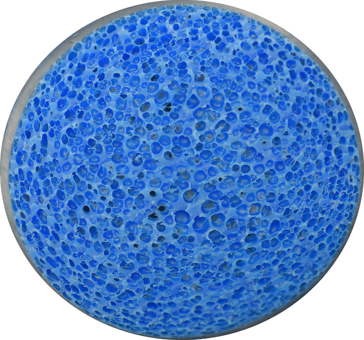Mutag BioChip ™ without biofilm.