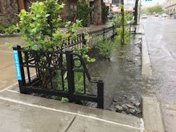 Specially designed curbside rain gardens will absorb millions of gallons of stormwater each time it rains, beautifying neighborhoods, improving the health of our waterways and making the city more resilient in the face of global warming.
