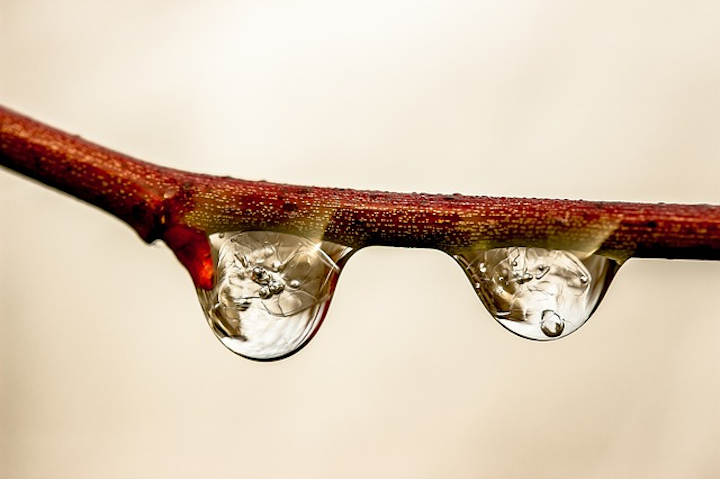 Raindrop 1913347 640