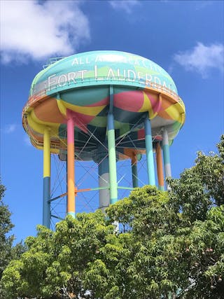 RANDY WATER TOWER LEAK PINK サイズ1 The Sony Pictures water tower goes pink in support of