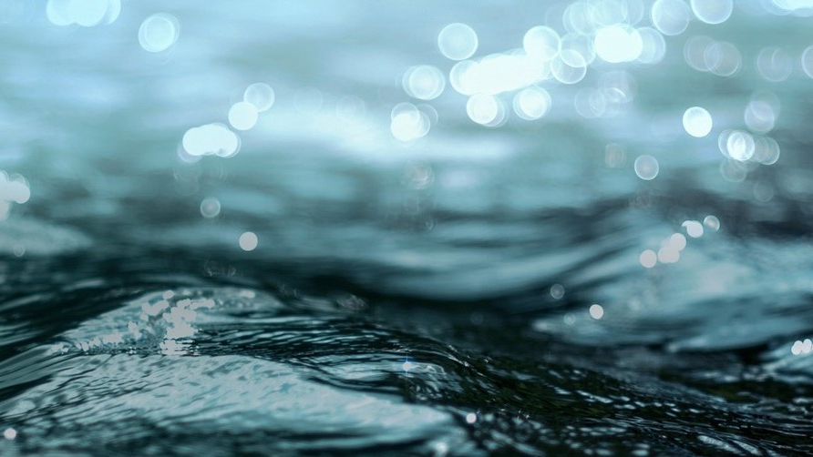 Pexels Photo 57829 5e2865a6c1dd2