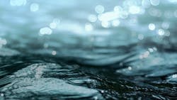 Pexels Photo 57829 5e2865a6c1dd2 Pexels Photo 57829 5e2865a6c1dd2