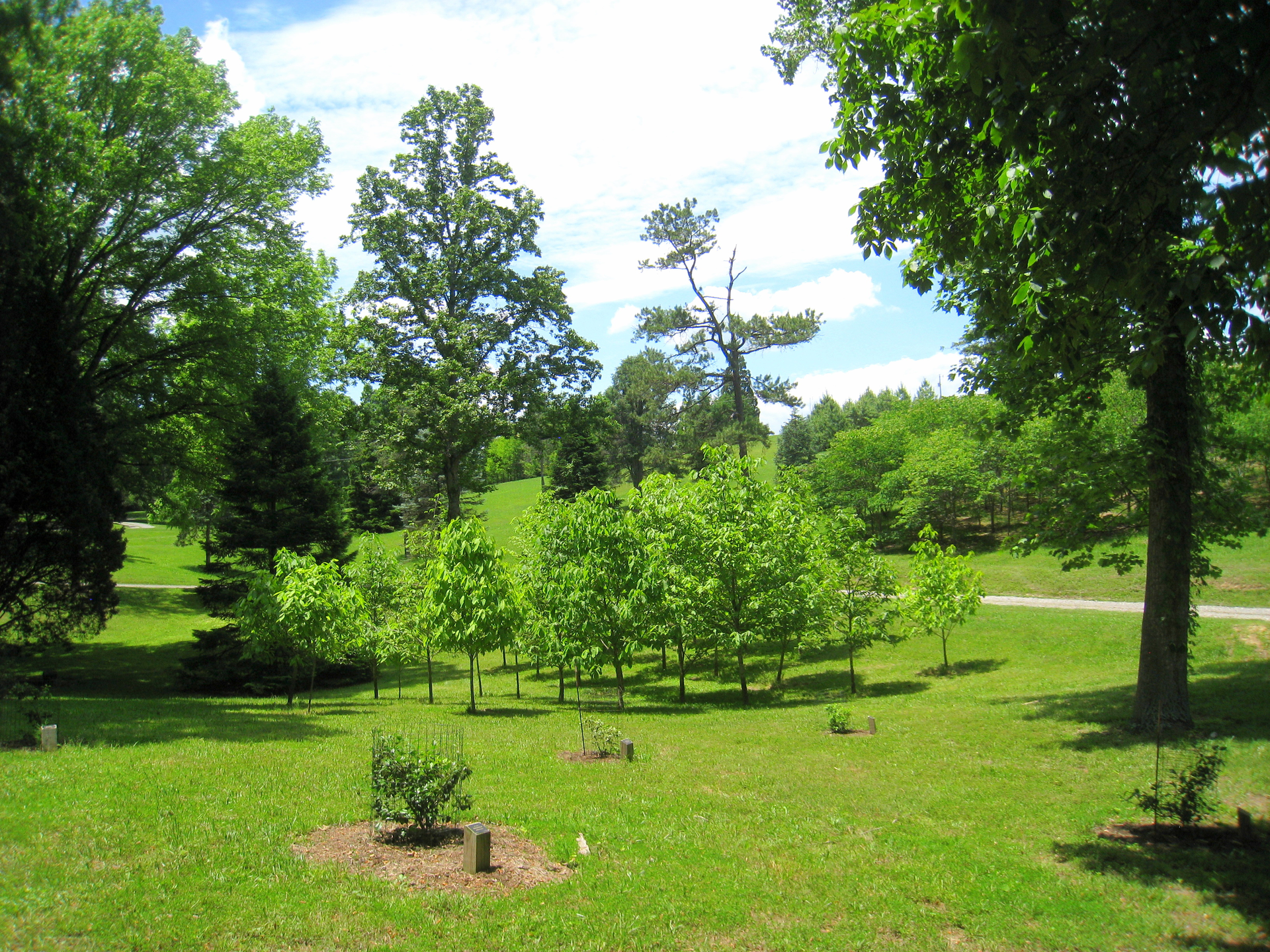 University of Tennessee Arboretum