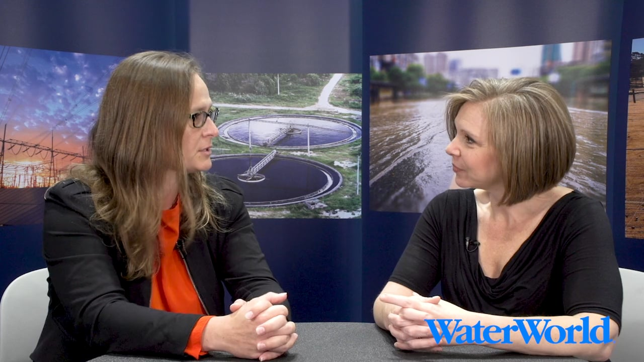 Ww Drop E24 Eva Steinle Darling Carollo