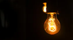 Yellow Bulb 1556704
