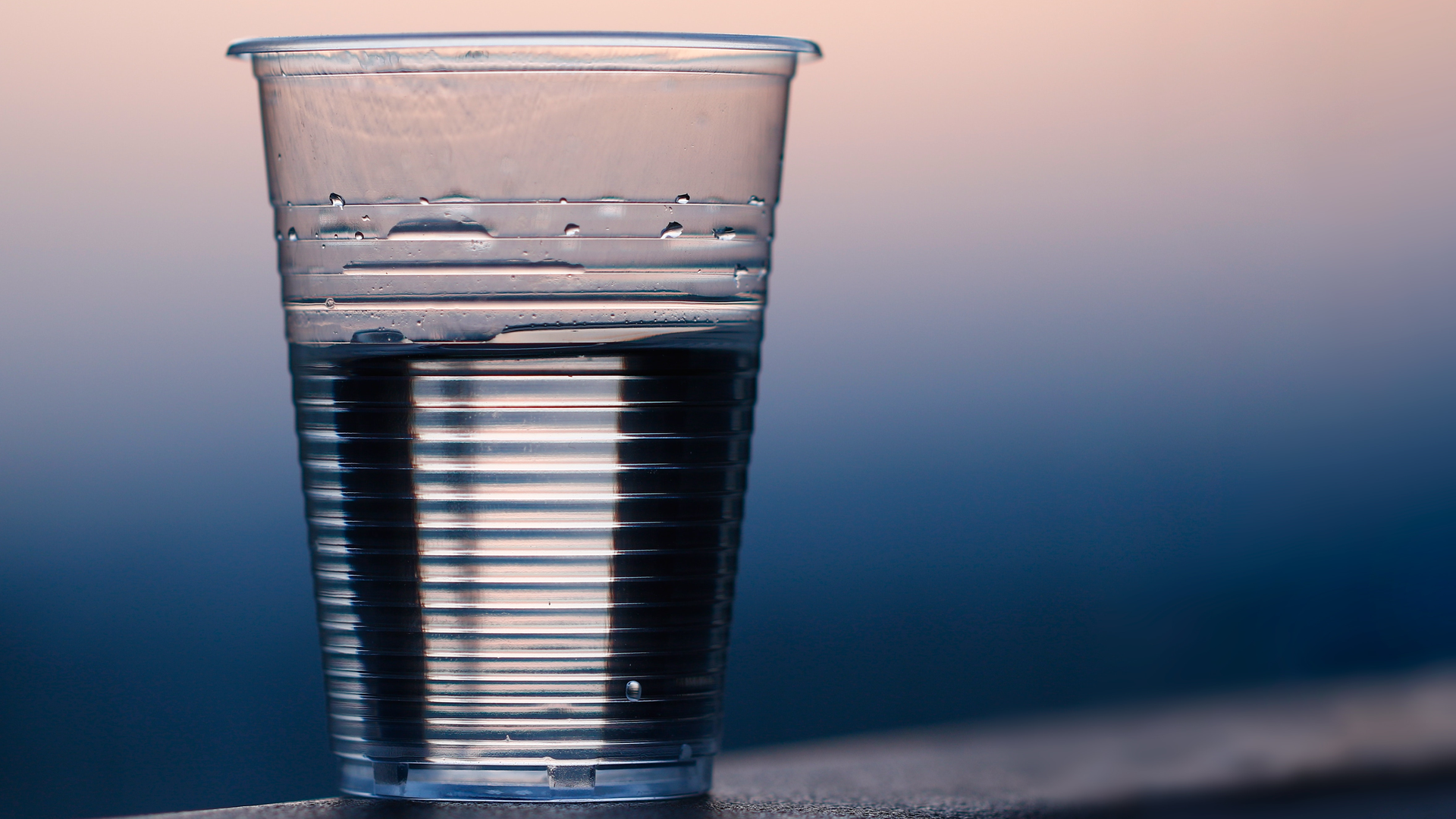 Sunset Cup Water Drink 87383 5e39a71b15274