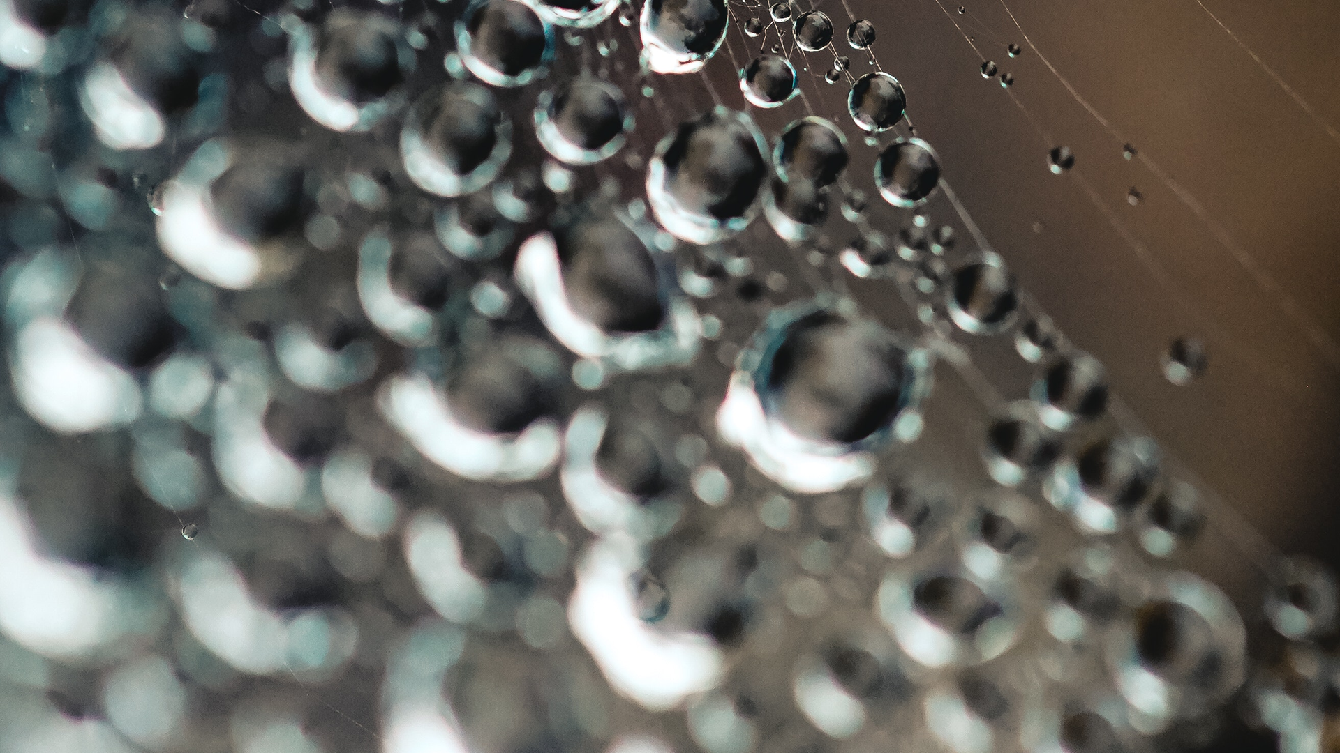 Water Bubbles 3445716 5e3ca2f66bd30