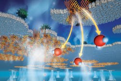 Protein Pores 5e3994050a226 Protein Pores 5e3994050a226