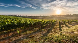 Surrounded by vast vineyards from 120 different wineries, Walla Walla, Wash., is well-known for its rich history, charm and overall appeal.