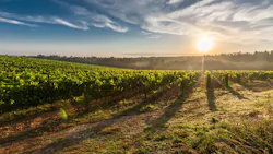 Surrounded by vast vineyards from 120 different wineries, Walla Walla, Wash., is well-known for its rich history, charm and overall appeal. Surrounded by vast vineyards from 120 different wineries, Walla Walla, Wash., is well-known for its rich history, charm and overall appeal.
