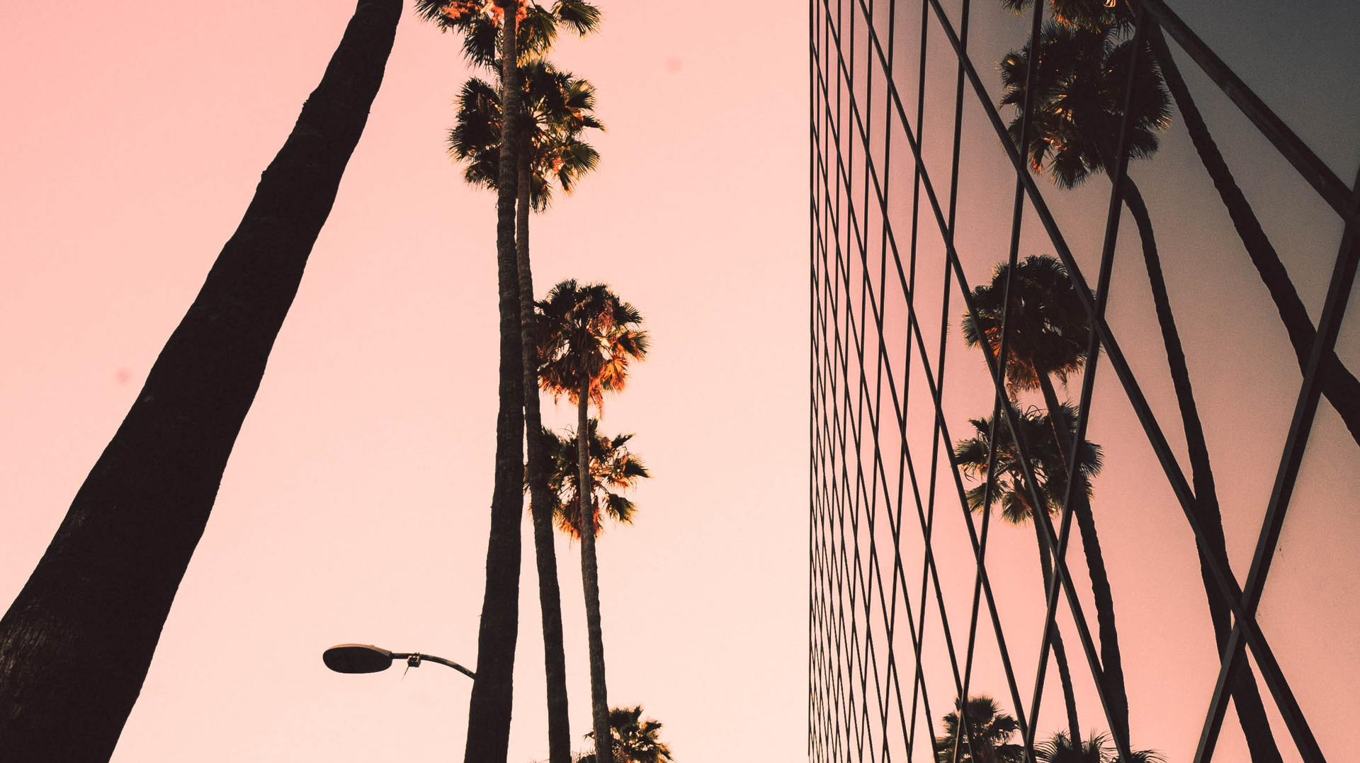 Brandon Erlinger Ford 11bx Ax As Cn U Unsplash 5e7ce48290ae7