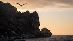 Jeremy Bishop 0m Qt Nv Juxfc Unsplash 5e6a8939f2b81 Jeremy Bishop 0m Qt Nv Juxfc Unsplash 5e6a8939f2b81