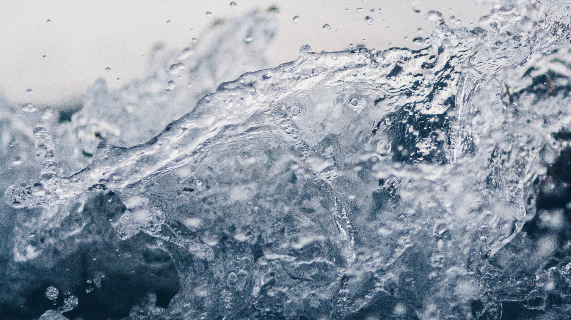 Samara Doole Pea Tni Zs U Qs Unsplash 5e83482079e0f