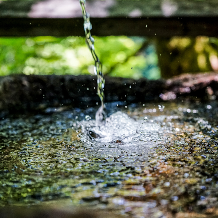 Frank Albrecht Xa Oq Sqf Ir08 Unsplash