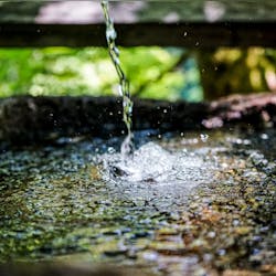 Frank Albrecht Xa Oq Sqf Ir08 Unsplash 5e7b933e6b454 Frank Albrecht Xa Oq Sqf Ir08 Unsplash 5e7b933e6b454