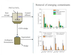 The novel wastewater treatment system developed by the Theme-based research team led by HKU: Fe-based CEPS with side-stream sludge acidogenesis in relation to the conventional wastewater treatment process. The novel wastewater treatment system developed by the Theme-based research team led by HKU: Fe-based CEPS with side-stream sludge acidogenesis in relation to the conventional wastewater treatment process.