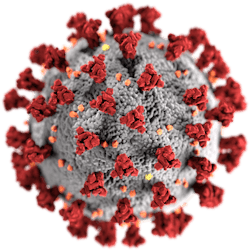 This illustration, created at the Centers for Disease Control and Prevention (CDC), reveals ultrastructural morphology exhibited by coronaviruses. This illustration, created at the Centers for Disease Control and Prevention (CDC), reveals ultrastructural morphology exhibited by coronaviruses.