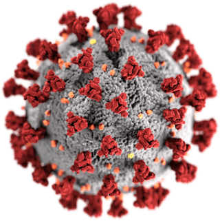 This illustration, created at the Centers for Disease Control and Prevention (CDC), reveals ultrastructural morphology exhibited by coronaviruses.